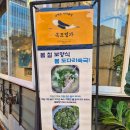 봄날오다 | 삼성동 횟집 목포명가 도다리쑥국 쑥전 봄이 오다