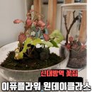 이퓨플라워신대방신림꽃집