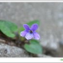 산본중앙공원 이미지