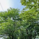 도진하나로마트 이미지