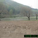 은계초등학교 이미지