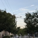 비부정 | 서순라길 분위기 좋은 와인바 예카페비비 난 별로