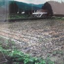 앙성면사무소 이미지