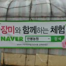 장성농원 이미지