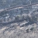 길 | 순창 용궐산 하늘길 후기｜잔도 트레킹, 주차, 입장료정리