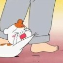 새옹지마