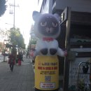 노라조 야옹아 네이버블로그