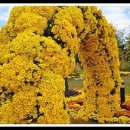 계양경기장 보조경기장 이미지