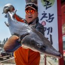 전곡낚시터 이미지