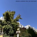 효령로 164 이미지