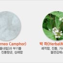 이천애터미