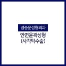 정승문성형외과 네이버블로그