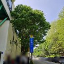 골안 약수터 | 2024.04.27 나혼산타3회차. 경기 군포 수리산.