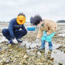 병술만농어촌체험휴양마을 이미지