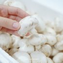 금백농장 이미지