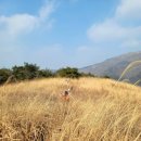 태봉2교 - 가평군 | 영남알프스 인증 영축산 고헌산 산행 소감