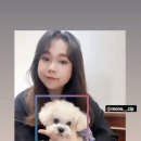 펫맘사랑