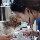 서공동물병원 이미지