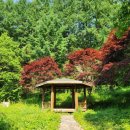 금수산식당 | [후기] 금수산 : 충북 제천 등산 추천 산림청 100대 명산