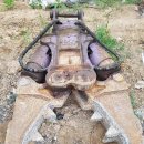 스피드 원 이미지