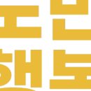 주식회사 요술콩어드벤처 이미지