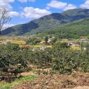 성산면사무소 버스정류장 이미지