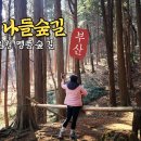 백양산 나들숲길 이미지
