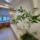 이브여성의원 이미지