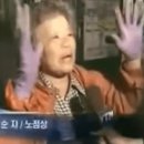 호롤롤로