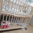 울산피터래빗 | 출산 후 다시 정리하는 12월출산준비물리스트