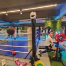 위너복싱 이미지