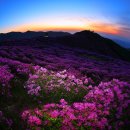 경호탕 Daum카페