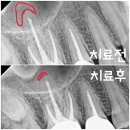 미소현치과의원 이미지
