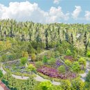 힐링타운 이미지