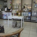 문수동물병원 이미지