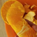 순연농장 이미지