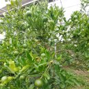 진표농장 이미지