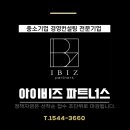 아이비즈파트너스