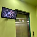 시화리라유치원 이미지