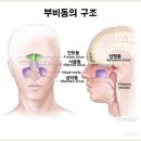 엄마들이 자주 겪는 메니에르증후군, 이명과 6,7번 차크라