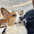 서울메이치과병원 이미지