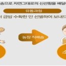 춘자농장 이미지