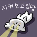 제주도한달살기 이미지