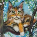 CAT 이미지