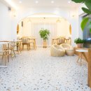 옐로우연화 이미지