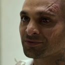 스콜피온 이미지