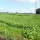 광명리마을회관 이미지