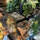 금빛로 69번길 이미지