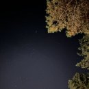 청남대 숲속 펜션 | 숲 속 여물리 펜션 내돈내산 솔직 후기