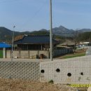 석포5교 이미지